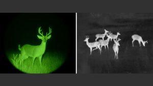 Understanding the Difference between Night Vision and Thermal Imaging