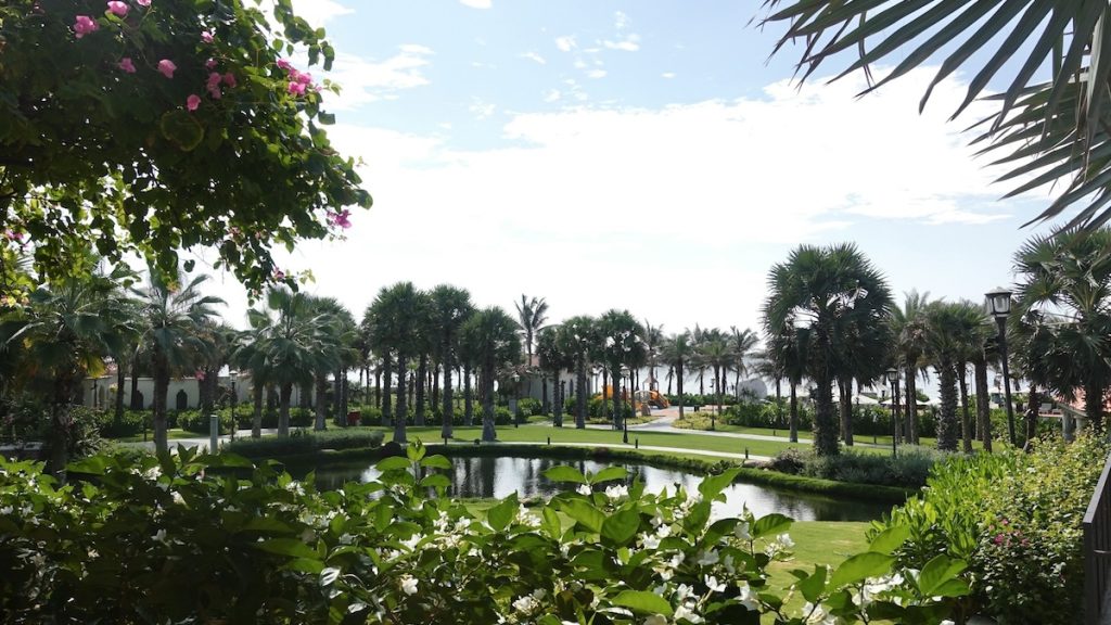 Image 1 of Mold Only Helps Residents in Palm Beach Gardens with Affordable Mold Remediation After Water Damage Strikes